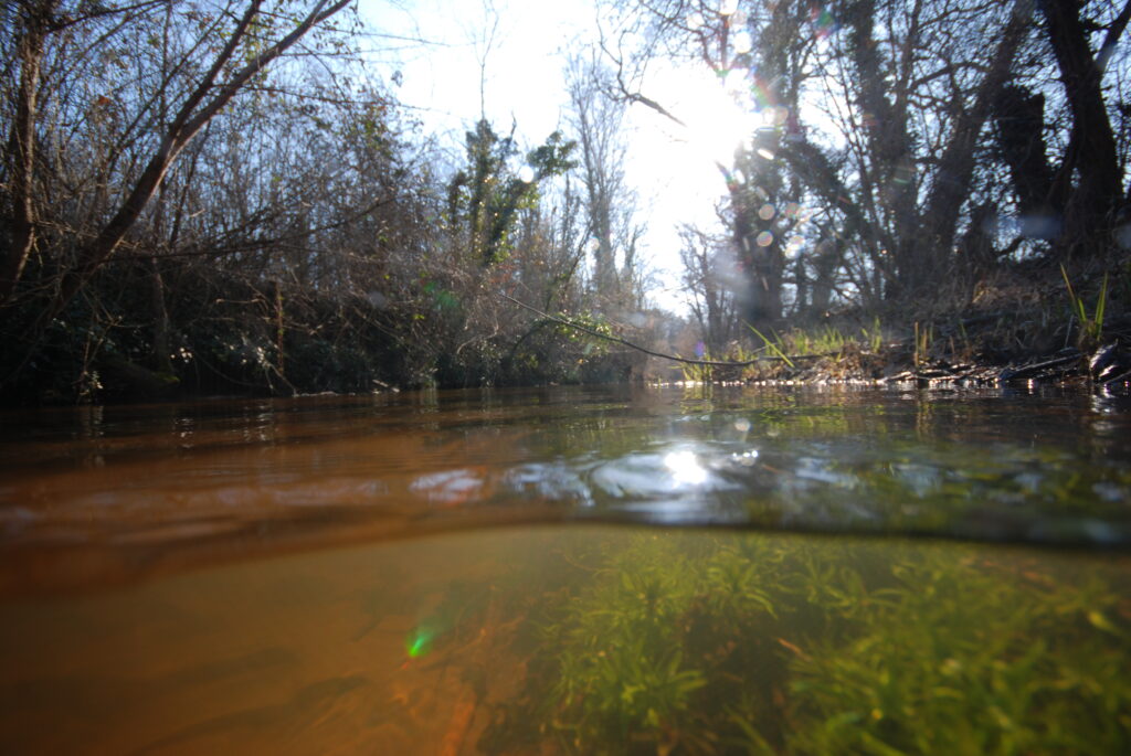 Gestion des cours d'eau SMBV